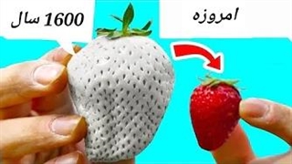 غذا و میوه هایی که در قدیم به شدت متفاوت بودند!