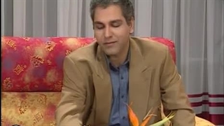 سریال کمدی کمتر دیده شده نود شب 9️⃣0️⃣ ساخته مهران مدیری 