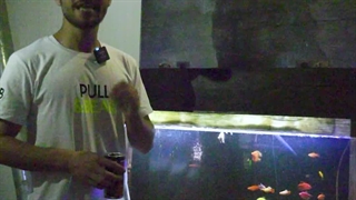 ماهی به زبان ترکی استانبولی