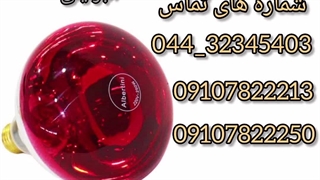 فروش لامپ مادر مصنوعی آلبرتینی