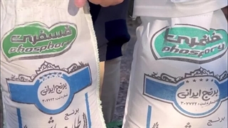 سریع تربن روش تشخیص برنج امسال از پارسال