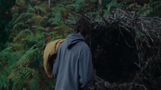 دانلود رایگان فیلم سینمایی پادشاهی حیوانات