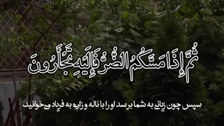 لحظاتی در ارامش مطلق الله