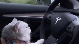 ولنتاین من به روایت فیلم: