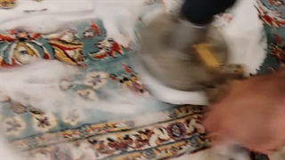 قالیشویی در محل با دستگاه (گل پونه ها) 22149084_44564478