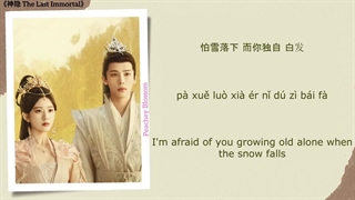 آهنگ و موسیقی سریال چینی آخرین جاودان (The Last Immortal OST)