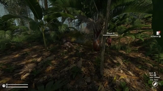 Green Hell لن شبکه