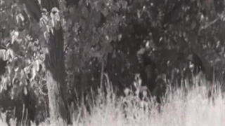 دانلود رایگان سریالی تاریخی با کیفیت 720