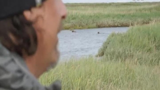 خرس کاتما قسمت 2