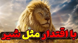شیر: شیر، شکوهمند ترین حیوان زمین چگونه به پادشاهی رسید؟