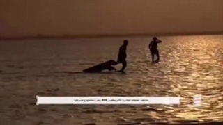 14021130: لحظه سرنگونی پهپاد MQ۹ آمریکا توسط یمنی‌ها