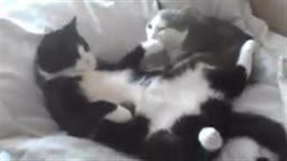 جرعت با حقیقت بازی کنیم؟