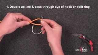 گره نخ ماهیگیری پالومار بهترین گره ماهی گیری برای قلاب