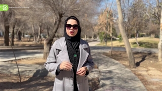 سرمازدگی و تاثیر آن روی کاهش تناژ محصول