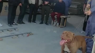 ایرج الهی بازیگر در فیلم کوتاه برای جشنواره جلو دوربین میرود