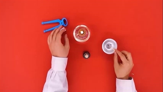 معرفی رشته تجربی