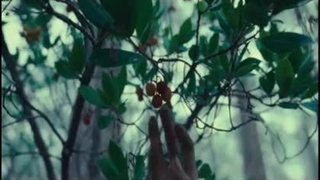 دانلود‌فیلم‌سینمایی‌پادشاه‌حیوانات