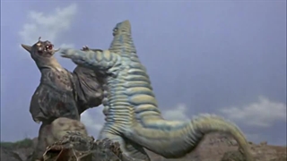 D $djeidjdejedieiedjn