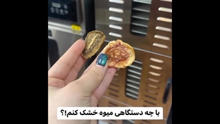 میوه خشک کن تمام استیل