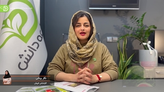 چه تیپ هندوانه ای را میپسندید؟(قسمت دوم)