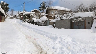 تصاویری از خسارت‌ غم انگیز برف در افغانستان