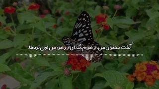 قبل از انسان ها چه کسانی روی زمین بودند؟  داستان زیبای آفرینش