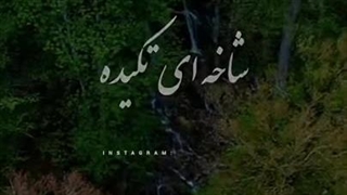 احساس میکنم جدی جدی نمیتونم ولی خب همچنان زنده ام نمیتونم بمیرم نمیخوامم ب این سادگی بمیرم اما نمیتونم نمیکشم