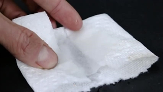 ویدیو رشد نهال گیاه