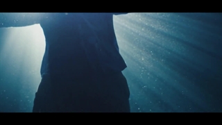 راز آفرینش و دنیای جنین