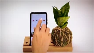 آیا تا به حال از دریافت حضوری اسنپ فود استفاده کرده اید؟