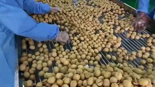 چگونه «بی لانگ جونگ» پکن به یک دهکده صنعتی مشهور تبدیل شد؟