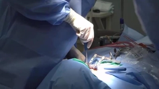 کمربند پلاتینر درمان کننده تنگی کانال نخاعی | تماس بگیرید 02191324136