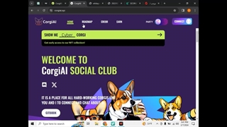 بررسی ارز corgiai / آیا کرگی (corgi) کلاهبرداری است؟