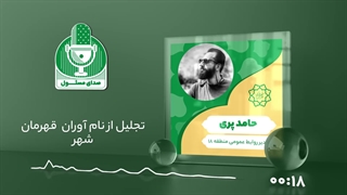 حامد پری