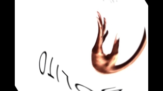 آلبوم کاغذ دیواری سولیتو SOLITO