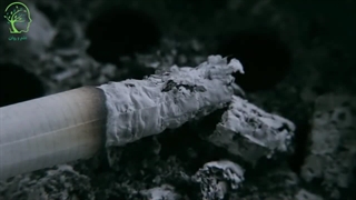 چرا باید سیگار کشیدن رو ترک کرد