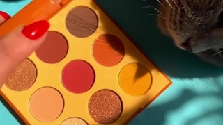 پالت سایه دسرت مورفی 9D PAINTED DESERT ARTISTRY PALETTE