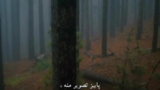 آهنگ بانوی باران محمدرضا منصوری