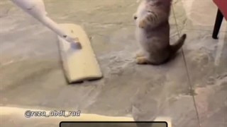 وضعیت خونه دم عید