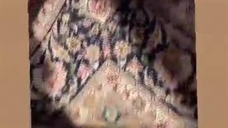 ارسال فرش از ایران به تمام جهان با آنی بار #باربری #مهاجرت #حمل_بار #حمل_هوایی #cargo #explore