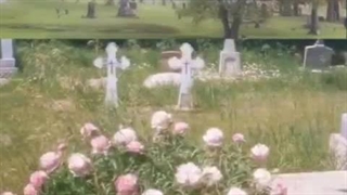 بیاید به یاد قدیم از اهدافتون برای سال اینده بگین:)