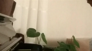 آهنگ Alan Walker_Fadad توسط میترا جوانمردی-میتا هیتا