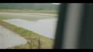 سریال کره ای دروغگوی دوست داشتنی من قسمت اول بازیرنویس فارسی