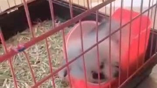 رضایت مشتری عزیزمون از تهران