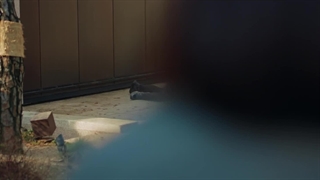 سریال کره ای خرپول و کاراگاه 2024 Flex X Cop (قسمت ۱۳) زیرنویس فارسی (این قسمت رو از لینک زیر تماشا کنید)