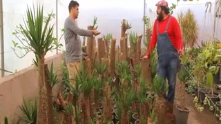 معرفی شغل باغبانی