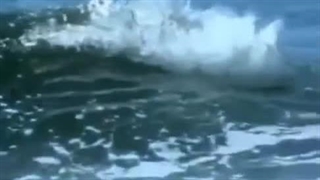 (REUPLOAD) Killer whaleeye