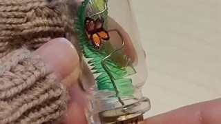 ایده یییییی کیییوت (ฅ´ω`ฅ)