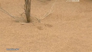 Deadly 60 قسمت 17