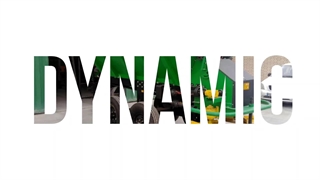 بارگیری و ارسال کودپاش دامی